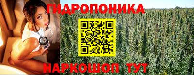 трава Донецк