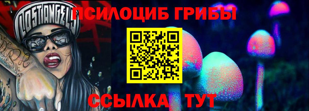 Галлюциногенные грибы ЛСД  Псилоцибиновые грибы мухоморы  Вход с VPN  Щёлково 